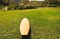 Long Board