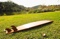 Long Board
