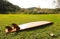 Long Board