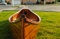 Canoe With Ribs Curved bow 10feet