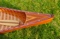 Canoe With Ribs Curved bow 10feet