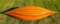 6 feet canoe with ribs