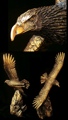Majestic Faux Bronze Eagle Figure