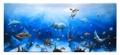 Dolphin Canvas Wall Plaque