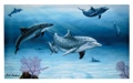 Dolphin Family Canvas Wall Plaque