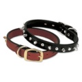 Spikes Black Collar Single-Ply inches  3/4 In X 11 In