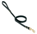 Spike Fts Black Matching Leash Single-Ply inches  5/8 In X 4 Ft