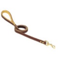 Chestnut Leash Single-Ply inches  5/8 X 4 Ft