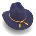 Civil War Hats