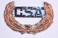 Csa Hat Pin