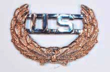 U.S. Hat Pin