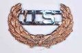 U.S. Hat Pin