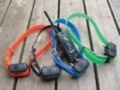 Dogtra 2 Dog 1 Mile Remote Trainer 1802NC