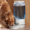 Ergo Auto Pet Waterer Large 2000Lw