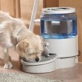 Ergo Auto Pet Waterer Small 2000Sw