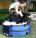 Dirty Dog Portable Pet Tub 36 Inch