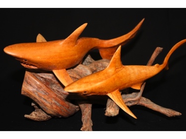TIGER SHARKS CARVINGS ON DRIFT WOOD SEA LIFE decor