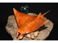 RAY MANTA SCULPTURE ON DRIFT WOOD SEA LIFE decor