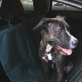 Pet Carriers