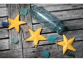 Hanging Starfish Set Of 3 Yellow Coastal Coastal Decor