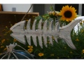 White Fish Bone Wooden Coastal 10 Coastal Decor