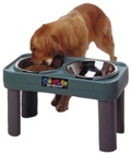 Big Dog Feeder 16 inches  Teal