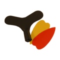 Banjira Bulbul Tarang Tuning Tool & Picks