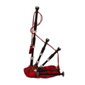 Roosebeck Bagpipe Black Rosewood Tartan Syn Bag