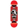 Skateboarding