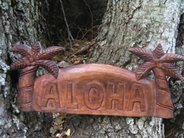 Welcome Sign Aloha W Palm Trees Island Home Decor