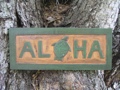 Aloha Turtle Tiki Sign 16 Carved Painted Home Decor