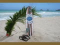 Sunset Beach Surf Sign W Fin 40 Surfing Decor