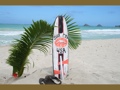 Surf City Usa Surf Sign W Fin 40 Surfing Decor