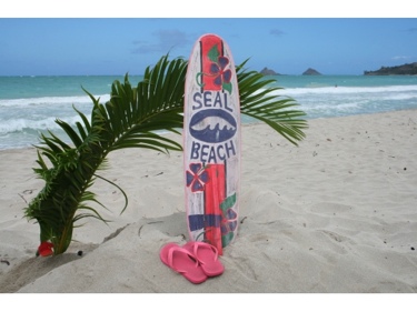 Seal Beach Surf Sign W Fin 40 Surfing Decor