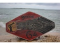 Endless Summer Genuine 1964 Surfing Wood Sign 16