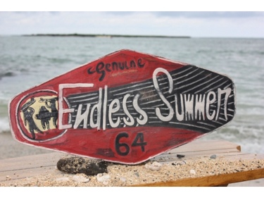 Endless Summer Genuine 1964 Surfing Wood Sign 24