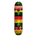 Speed Demon Rasta Tribe Complete 7.6