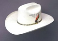 Canyon Trails Straw Hat 