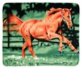 Fleece Blanket Running Horse 50 X 60