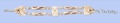 Genuine Bone Bracelet