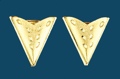 Gold Etched Collar Tips 1-1/4