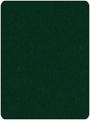 Championship Billard Table Cloth