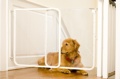 Cardinal White Clear Gate CP30-W