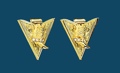 Gold Boot Austrian Crystals Collar Tips