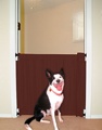The Perfect Pet Gate 24 inches W To 32 inches W X 30 inches H Beige