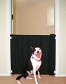 The Perfect Pet Gate 24 inches W To 32 inches W X 30 inches H Black