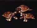 Set Of 3 Turtles Keepsake Boxes Beach Decor