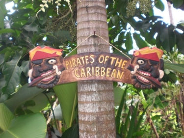 Pirates Of The Caribbean Pirate Sign 24 Pirate Decor