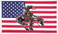 3 x 5 USA End Of Trail Flag