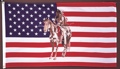3 x 5 Horse & Indian USA Flag